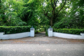The Oak Studio-Kilpatrick Glebe, Pet Friendly